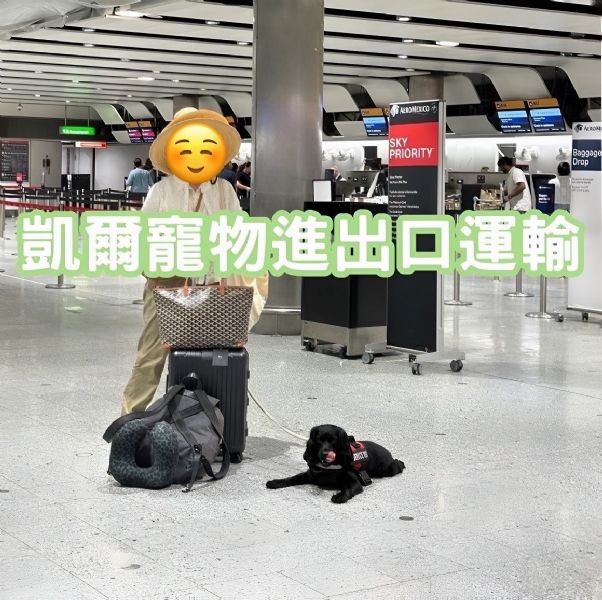 2025/07/02『英國』旅行達人可卡犬、台灣出發、英國遊玩後再返回台灣~~~~