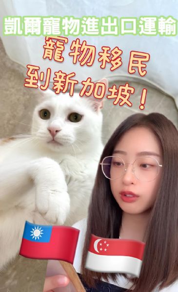 2024-美女客人經驗分享『新加坡』