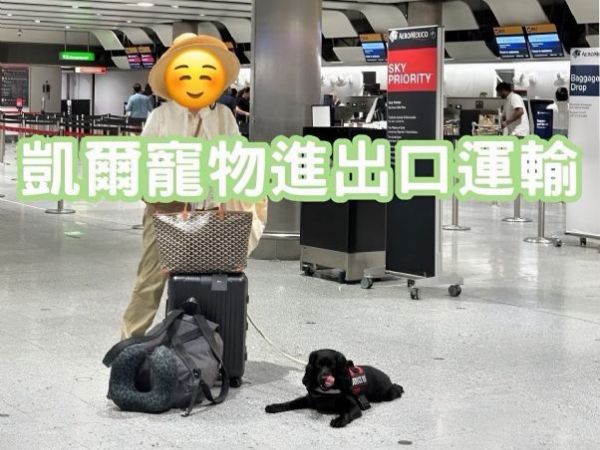 2025/07/02『英國』旅行達人可卡犬、台灣出發、英國遊玩後再返回台灣~~~~