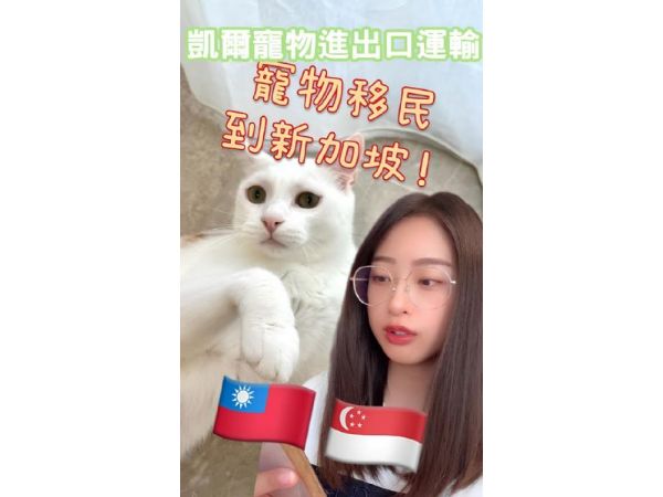 2024-美女客人經驗分享『新加坡』