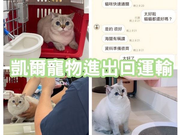2025/10/30『中國』可愛貓貓跟主人一同飛中國~~~~
